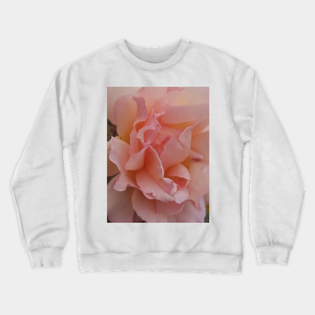 Pink Rose Crewneck Sweatshirt by RFMDesigns
